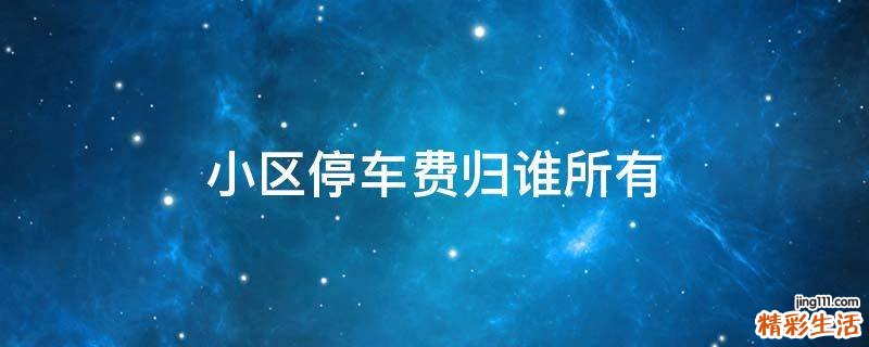 小区停车费归谁所有