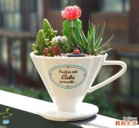 不明原因关节痛,风湿寒性关节痛,风湿痛症,良性关节痛,特发性关节痛综合症 特发性关节痛综合