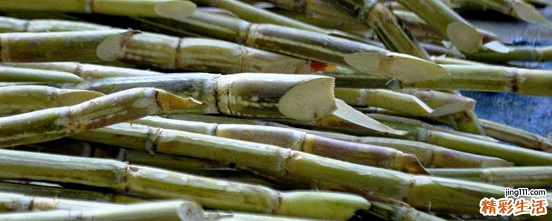 甘蔗如何保存 鲜甘蔗怎么保存