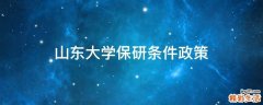 山东大学保研条件政策