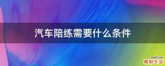 汽车陪练需要什么条件