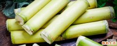 青皮甘蔗和黑皮甘蔗的区别 青皮甘蔗和黑皮甘蔗哪个容易上火
