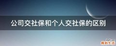 公司交社保和个人交社保的区别