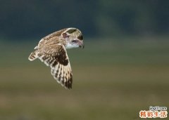 2 教你打造绝美闪亮魅惑新娘眼妆