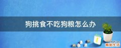 狗挑食不吃狗粮怎么办