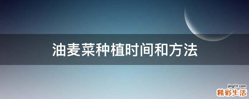 油麦菜种植时间和方法