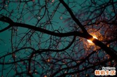 如何驱散夏季的心理焦躁