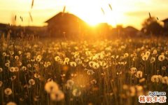 心理专家给男人的几点婚姻忠告