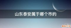 山东泰安属于哪个市的