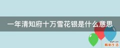 一年清知府十万雪花银是什么意思