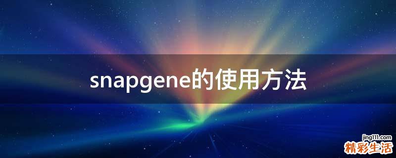 snapgene的使用方法