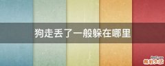 狗走丢了一般躲在哪里