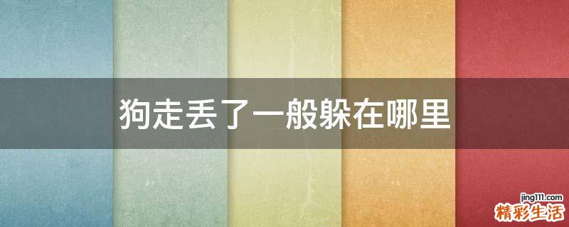 狗走丢了一般躲在哪里