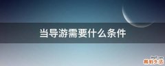 当导游需要什么条件