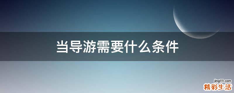 当导游需要什么条件