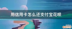 用信用卡怎么还支付宝花呗