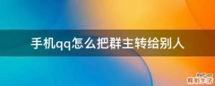 手机qq怎么把群主转给别人