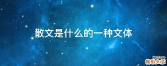 散文是什么的一种文体