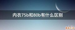 内衣75b和80b有什么区别