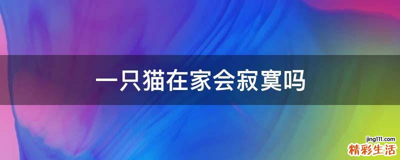 一只猫在家会寂寞吗