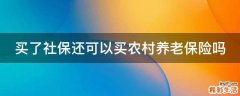 买了社保还可以买农村养老保险吗
