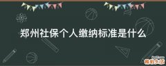 郑州社保个人缴纳标准是什么