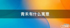 青禾有什么寓意