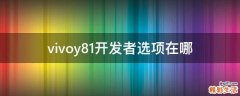 vivoy81开发者选项在哪