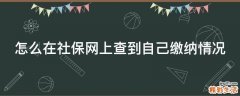 怎么在社保网上查到自己缴纳情况