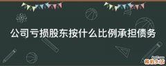 公司亏损股东按什么比例承担债务