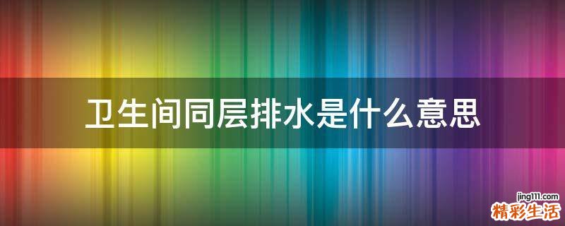 卫生间同层排水是什么意思