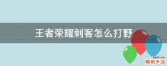 王者荣耀刺客怎么打野