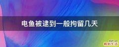 电鱼被逮到一般拘留几天