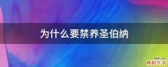 为什么要禁养圣伯纳