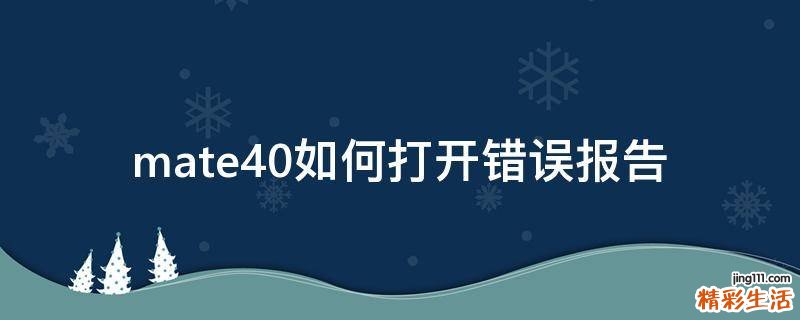 mate40如何打开错误报告