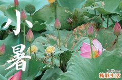 2023年小暑是入伏第一天么