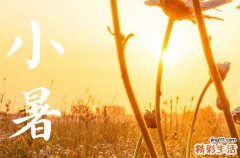 2023年小暑是什么时候,2023年小暑是几月几日
