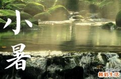 2023年小暑是几月几号,2023年小暑是几月几日