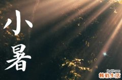 2023年小暑是入伏的头一天吗