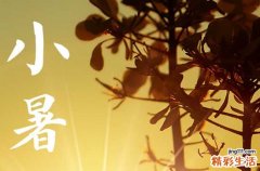 2023年小暑之后几天入伏