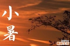 2023年哪天是小暑节气