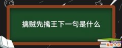擒贼先擒王下一句是什么