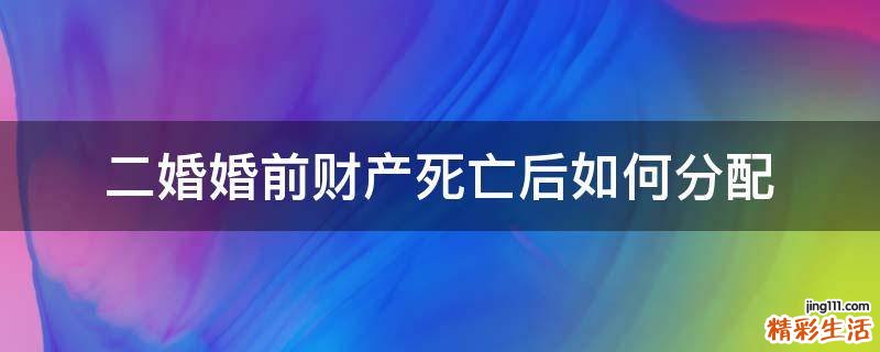 二婚婚前财产死亡后如何分配