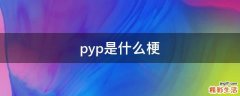 pyp是什么梗