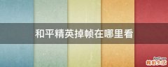 和平精英掉帧在哪里看
