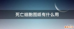 死亡细胞图纸有什么用