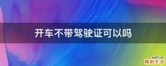 开车不带驾驶证可以吗