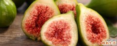 无花果可以治痔疮吗 痔疮患者能吃无花果吗