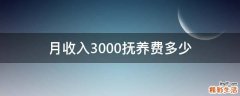 月收入3000抚养费多少