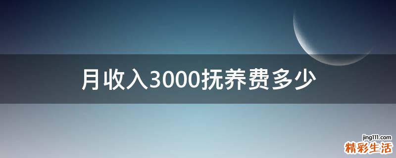 月收入3000抚养费多少